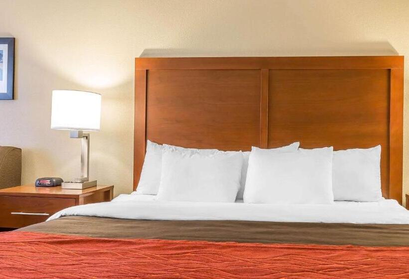 장애인을 위한 킹사이즈 침대 스탠다드 룸, Comfort Inn