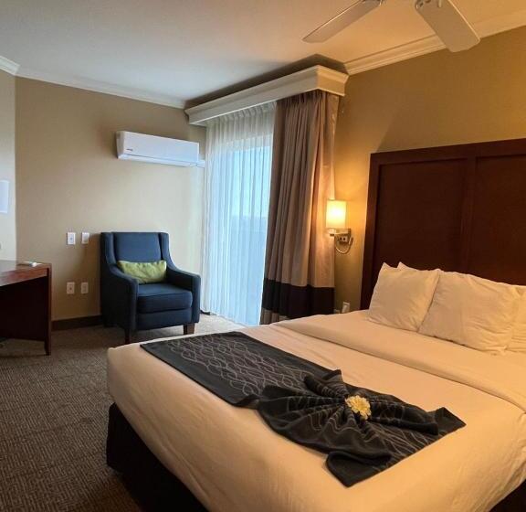 Номер Стандарт, Comfort Inn & Suites Ocean Shores