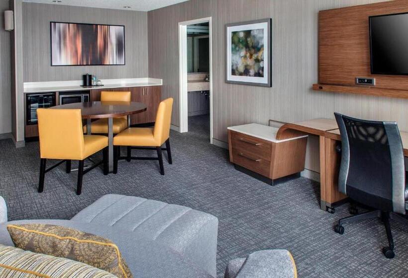 سوئیت با تخت بزرگ, Courtyard Charlotte City Center