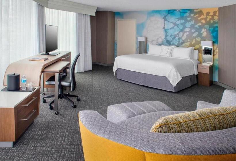 اتاق لوکس با تخت بزرگ, Courtyard Charlotte City Center