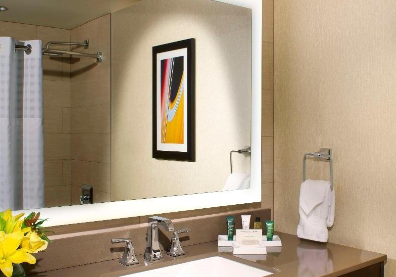 חדר סטנדרט עם מיטת קינג, Hilton Austin