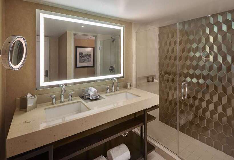 חדר סטנדרט, Hilton Austin