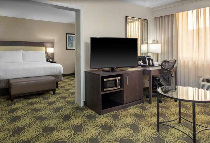 Номер Стандарт, Hilton Austin