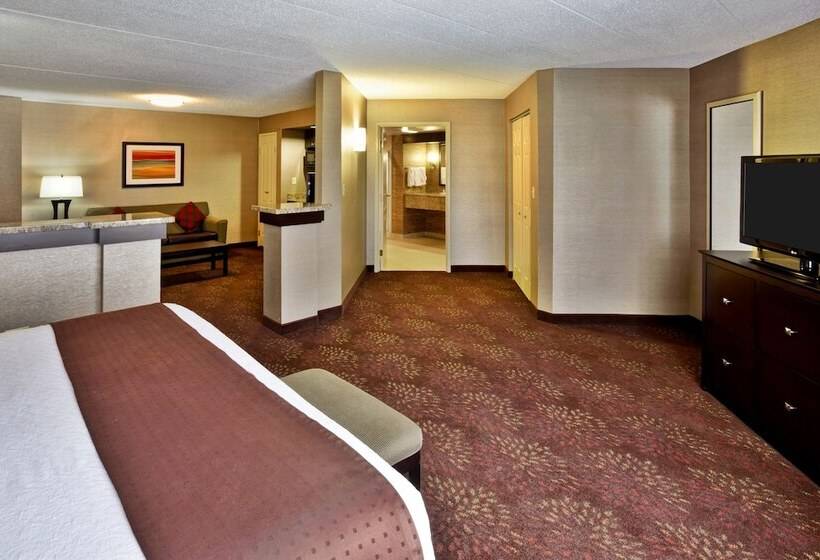 ハイドロマッサージバス付きスイート, Holiday Inn Hotel & Suites Chicago Northwest   Elgin, An Ihg
