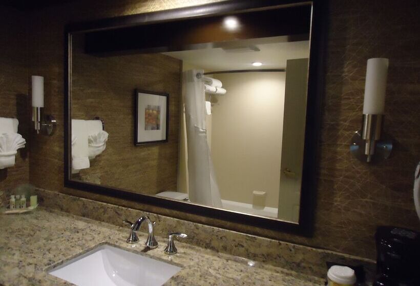 身障者適用スイートルーム, Holiday Inn Hotel & Suites Chicago Northwest   Elgin, An Ihg