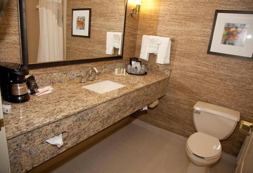 ハイドロマッサージバス付きスイート, Holiday Inn Hotel & Suites Chicago Northwest   Elgin, An Ihg