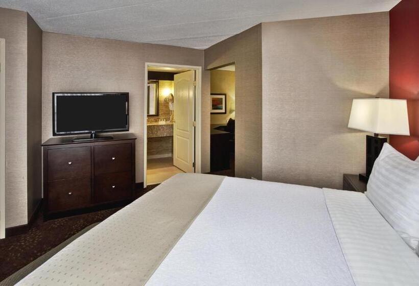 身障者適用スイートルーム, Holiday Inn Hotel & Suites Chicago Northwest   Elgin, An Ihg