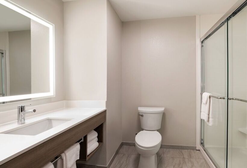 스탠다드 룸, Holiday Inn Express & Suites Opelousas, An Ihg