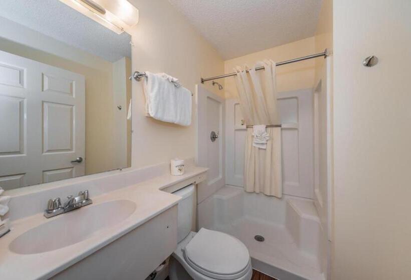수피리어 룸, Tampa Bay Extended Stay