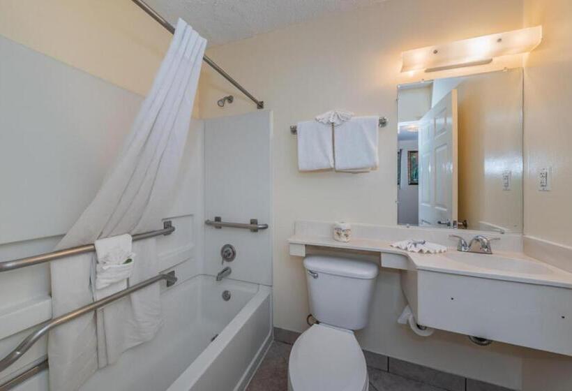 수피리어 룸, Tampa Bay Extended Stay