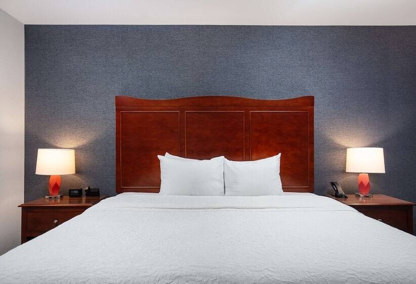 اتاق استاندارد با تخت بزرگ, Hampton Inn Medford