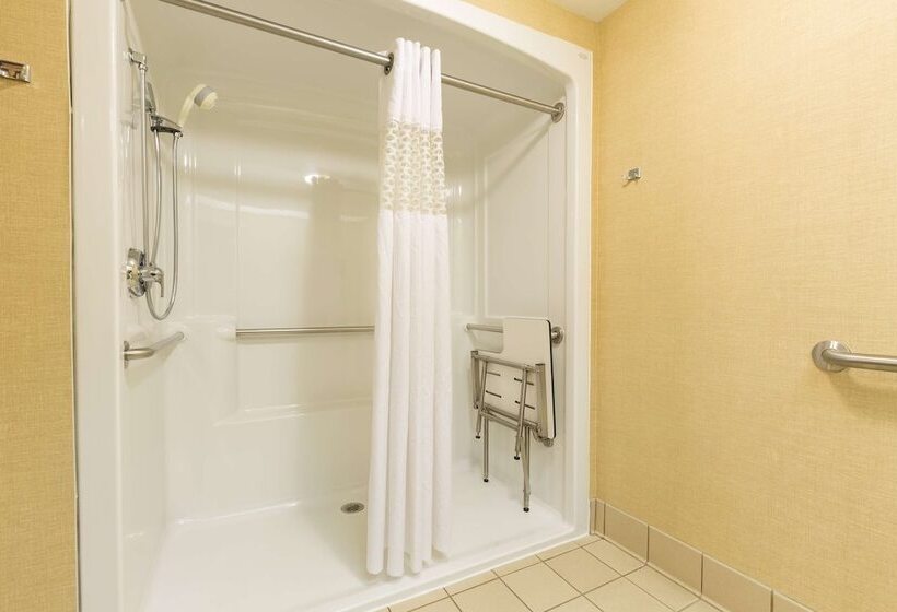 Номер Стандарт Адаптированный для Инвалидов, Hampton Inn Sidney