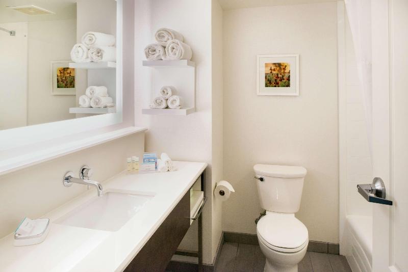 استودیو استاندارد با تخت کینگ, Hampton Inn & Suites Legacy Parkfrisco