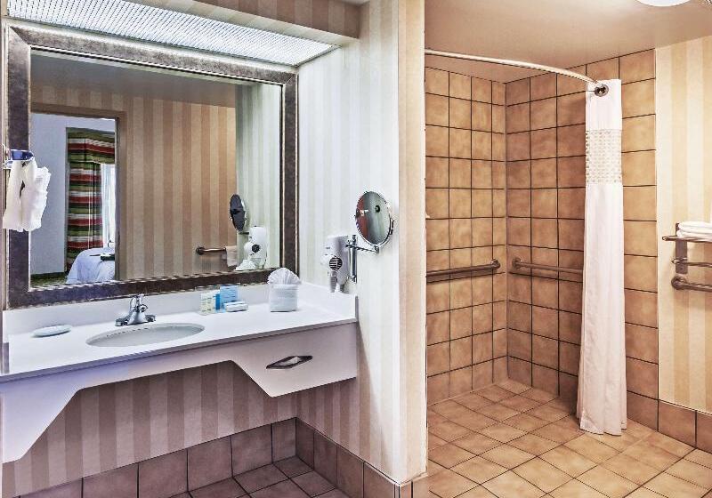سوئیت با تخت بزرگ, Hampton Inn & Suites Tulsa Woodland Hills 71st Memorial