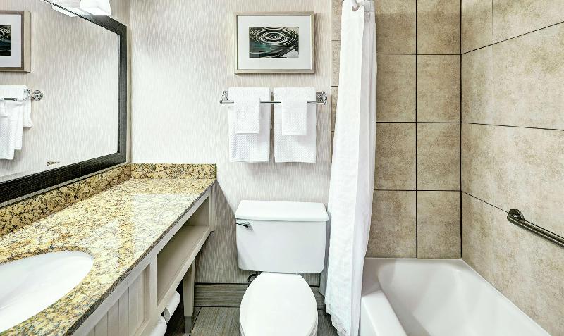 اتاق استاندارد با تخت بزرگ, Hampton Inn Wilmington Medical Park