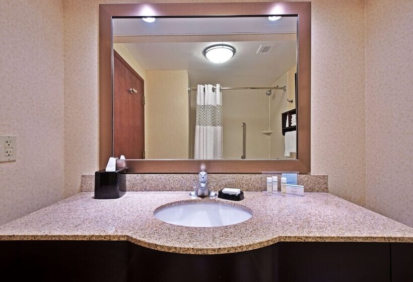 장애인을 위한 스탠다드 룸, Hampton Inn Winfield/teays Valley
