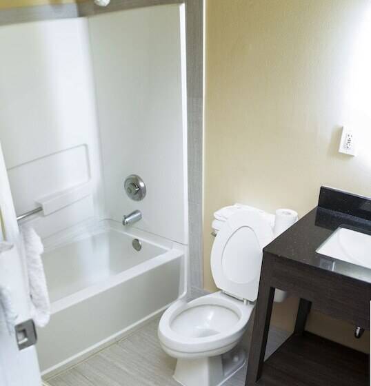Люкс, Suburban Studios Charlotteballantyne