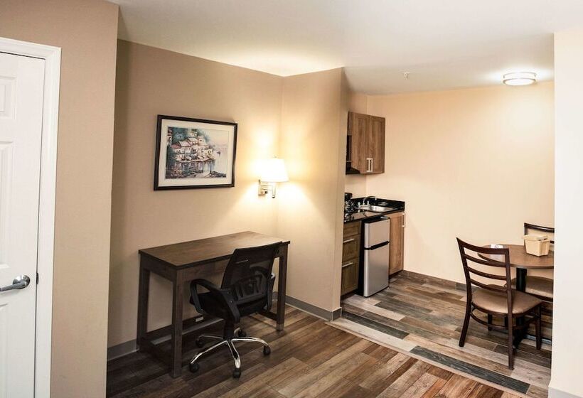 Люкс, Suburban Studios Charlotteballantyne