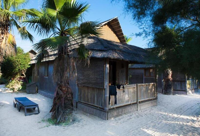 스탠다드 방갈로, Kon Tiki