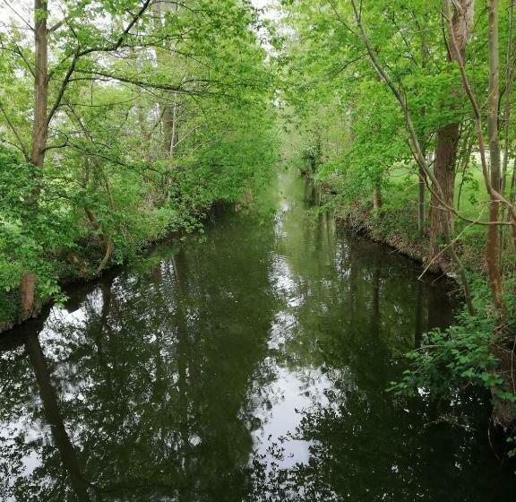 اتاق استاندارد, Am Waldrand Spreewald