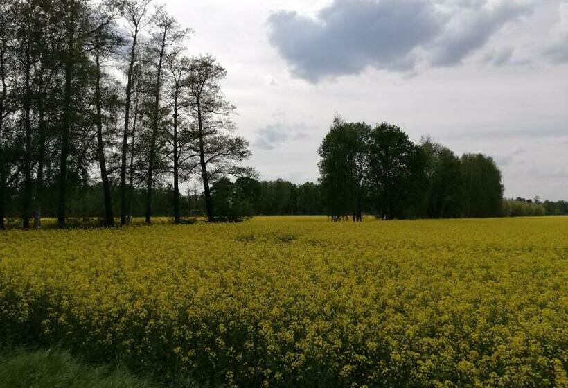 اتاق استاندارد, Am Waldrand Spreewald