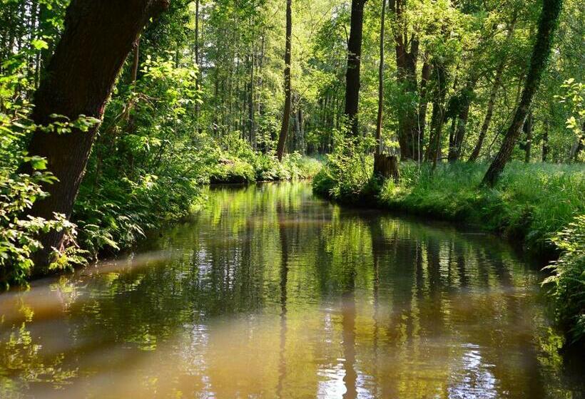 اتاق استاندارد, Am Waldrand Spreewald