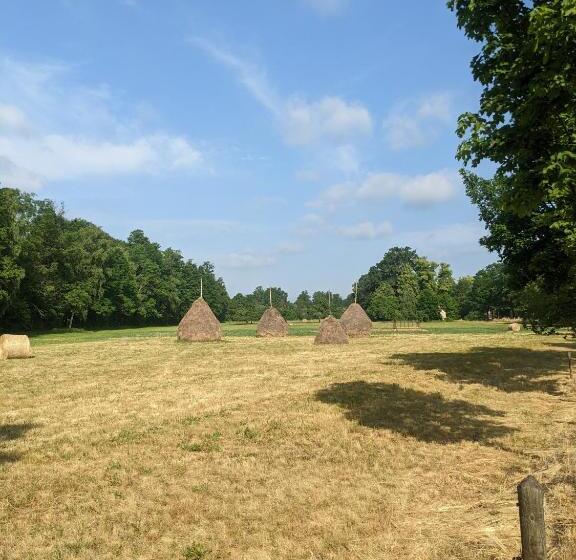 آپارتمان 1 خوابه, Am Waldrand Spreewald