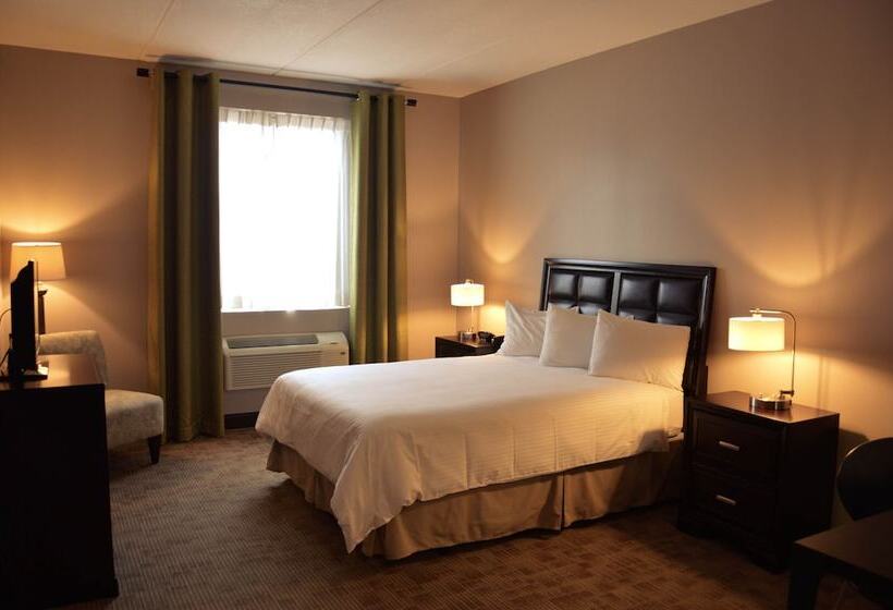 디럭스 룸, Belvedere Inn Schenectady   Albany