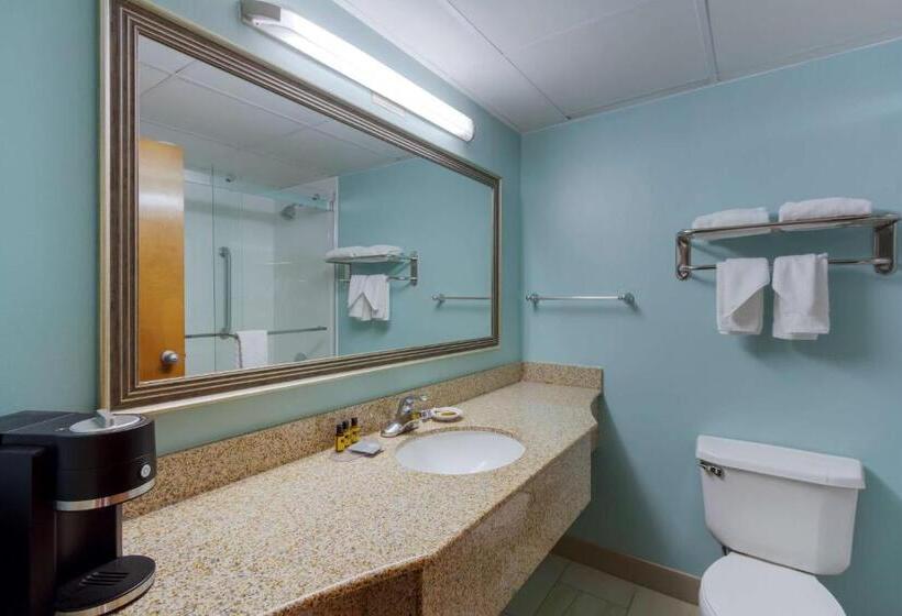 اتاق استاندارد با تخت بزرگ, Best Western Plus Wilmington/wrightsville Beach