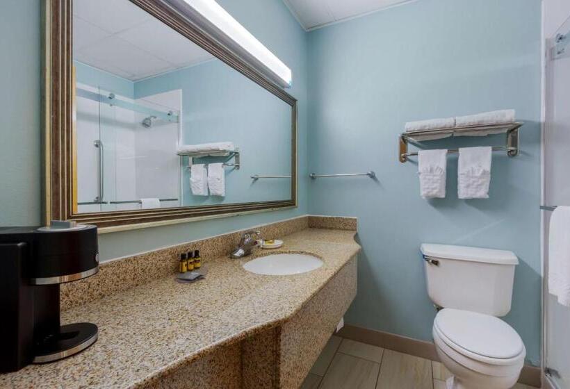 اتاق استاندارد با تخت بزرگ, Best Western Plus Wilmington/wrightsville Beach