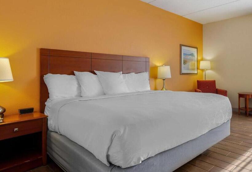 اتاق استاندارد با تخت بزرگ, Best Western Plus Wilmington/wrightsville Beach