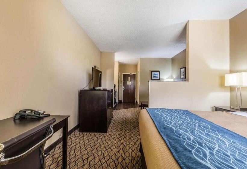 Стандартный Номер Кровать Кинг, Comfort Inn & Suites Crystal Inn Sportsplex