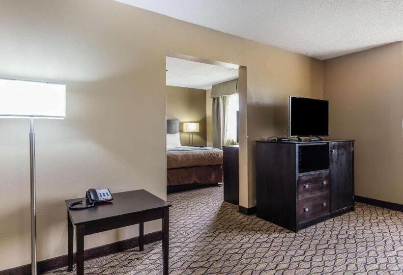 Люкс Кровать Кинг, Comfort Inn & Suites Crystal Inn Sportsplex