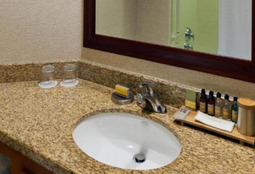 适合残疾人使用的标准间, Denver Marriott South At Park Meadows