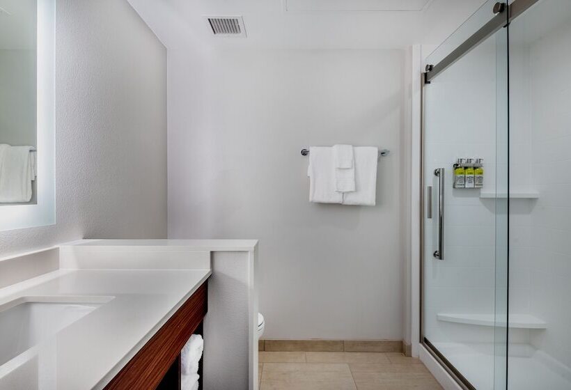 Люкс, Holiday Inn Express & Suites Santa Ana   Orange County, An Ihg