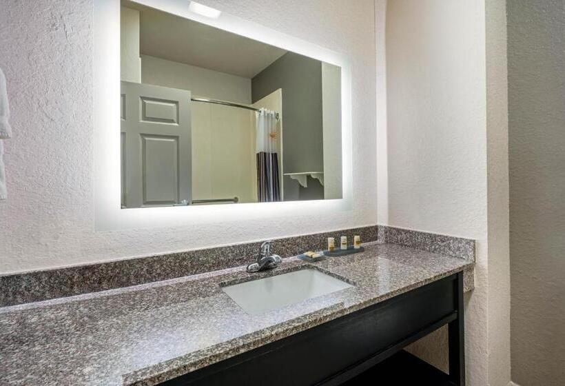 Номер Стандарт, La Quinta By Wyndham Conroe