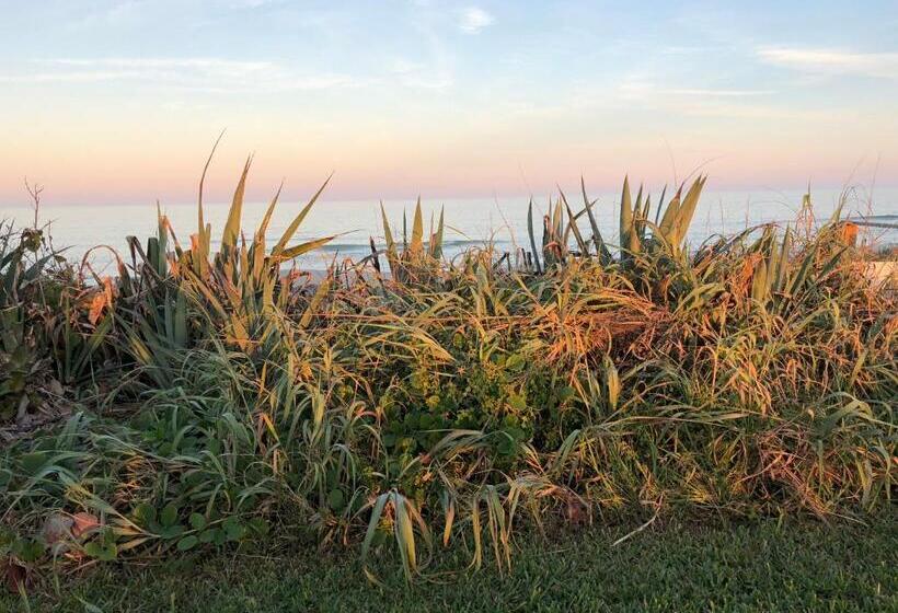 바다 전망 스위트, Ocean Front Paradise Resort