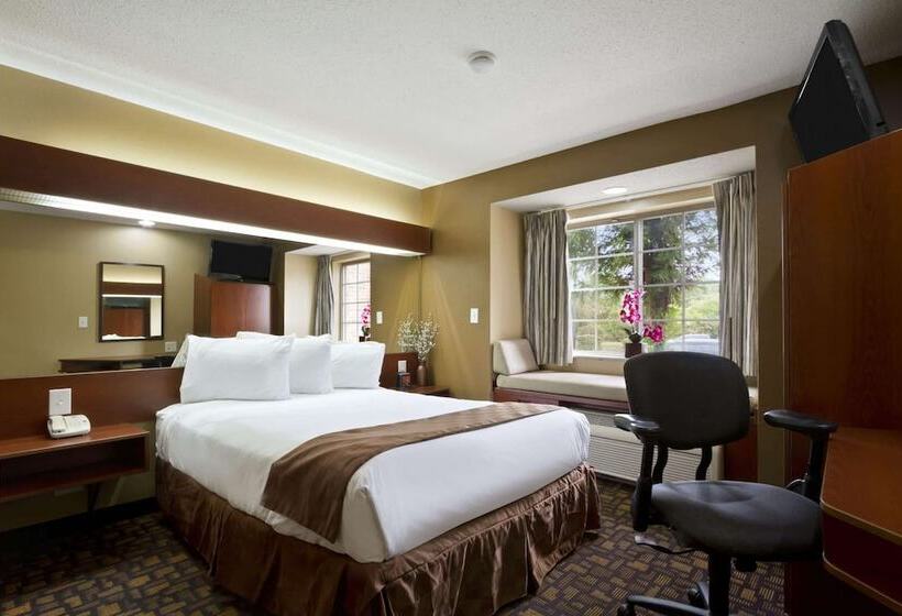 디럭스 스튜디오, Microtel Inn & Suites By Wyndham Lithonia/stone Mountain