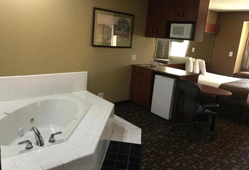 디럭스 스튜디오, Microtel Inn & Suites By Wyndham Lithonia/stone Mountain