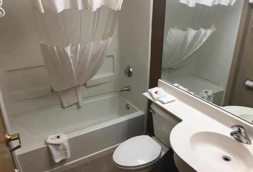 Студия Стандарт, Microtel Inn & Suites By Wyndham Mason