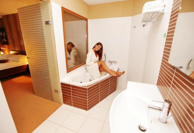 Номер бизнес-класса, City Hotel Nitra