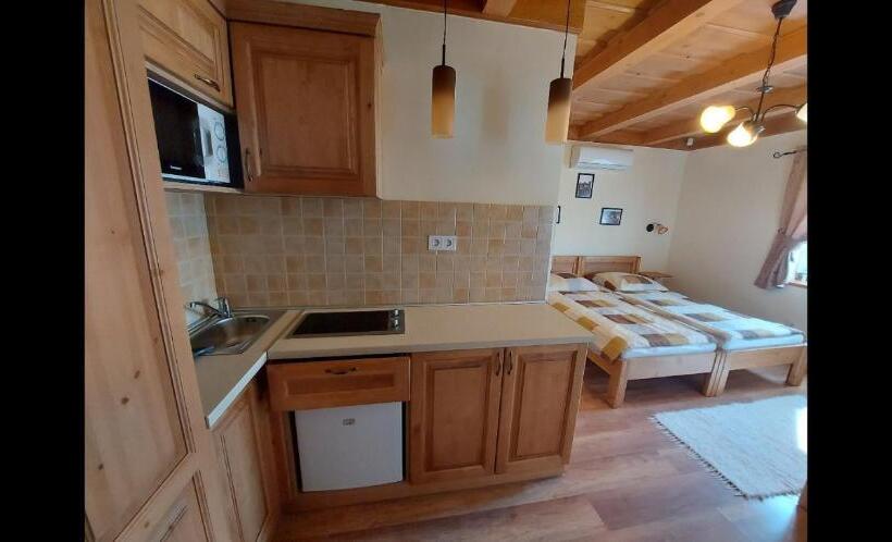 Апартаменты Deluxe 1 Спальня, Tóth Vendégház és Apartmanház újfehértó