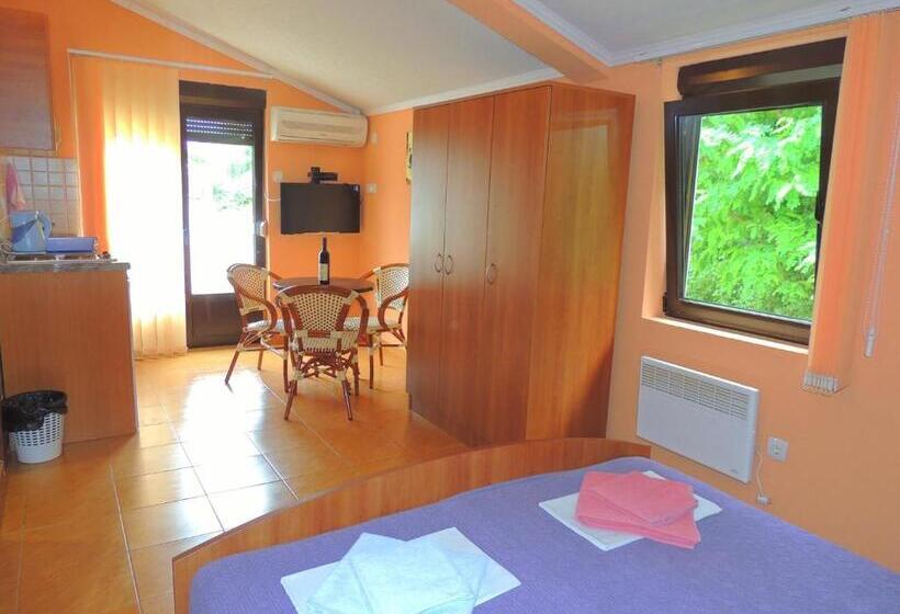 استودیو استاندارد با تراس, Villa Budvanka Guesthouse