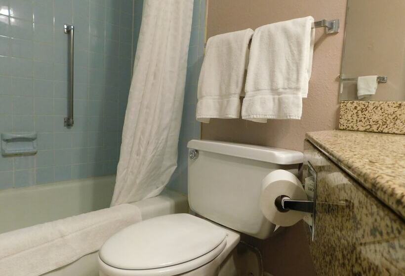 디럭스 룸, Apm Inn & Suites