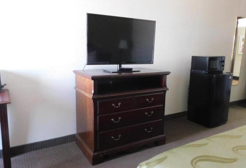 스탠다드 룸 킹사이즈 침대, Quality Inn & Suites Thomasville