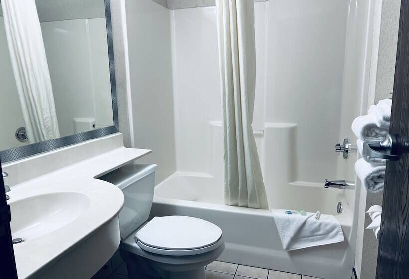 Люкс, Microtel Inn & Suites By Wyndham Bloomington Msp Airport