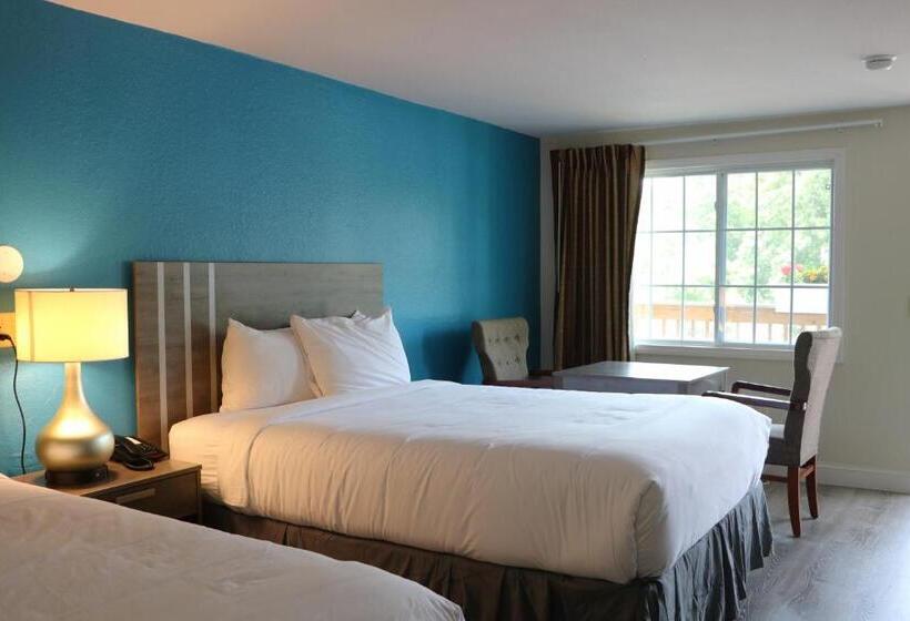 Номер Стандарт, Sunbird Cape Cod Resort