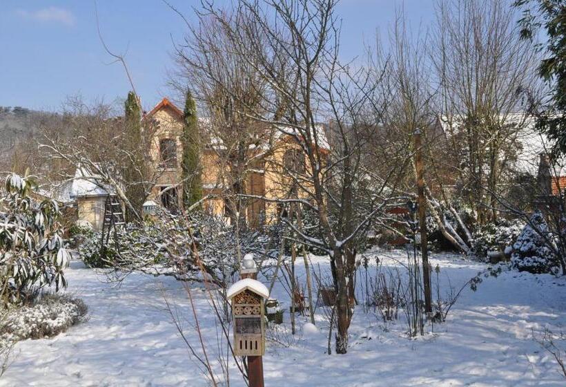 اتاق استاندارد با چشم‌انداز باغ, Villa Le Cloky