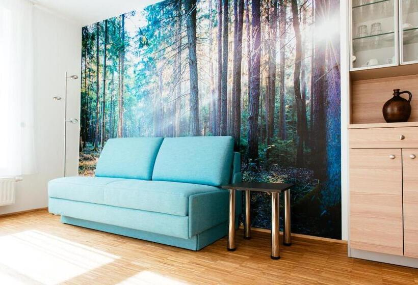 Апартаменты 1 Спальня, Aparthotel Heuberger