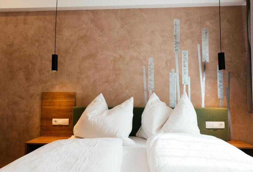 Апартаменты 1 Спальня, Aparthotel Heuberger